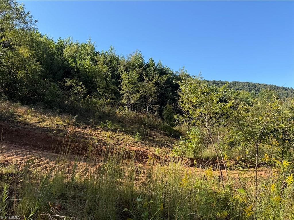 Unimproved Land at TBD Irwin Grocery Road, Laurel Springs NC 28644, photo 2 of 46
