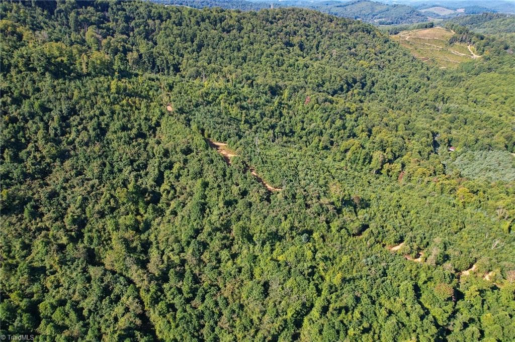 Unimproved Land at TBD Irwin Grocery Road, Laurel Springs NC 28644, photo 42 of 46