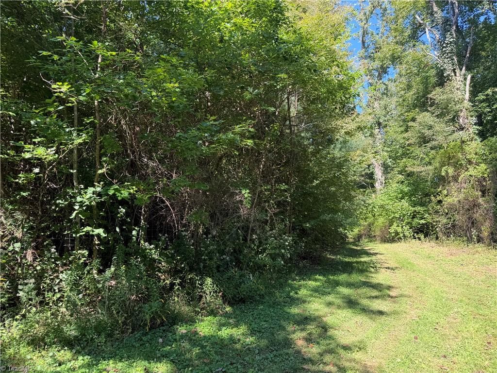 Unimproved Land at TBD Irwin Grocery Road, Laurel Springs NC 28644, photo 29 of 46