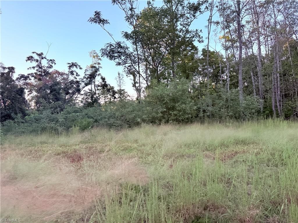 Single Family Residence at 1210 Nicky Lane, Danbury NC 27016, photo 31 of 44