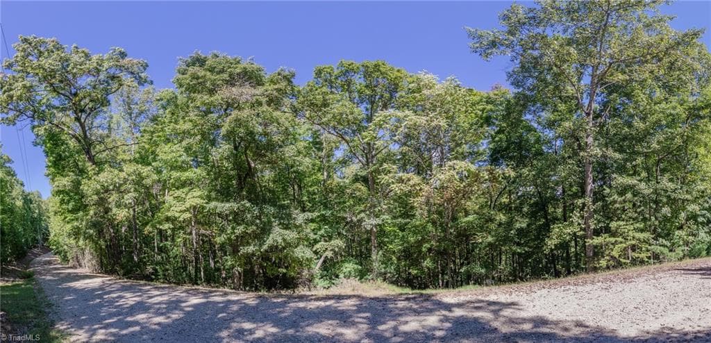 Unimproved Land at 00 Sutters Ridge Road, McGrady NC 28649, McGrady, photo 2 of 16