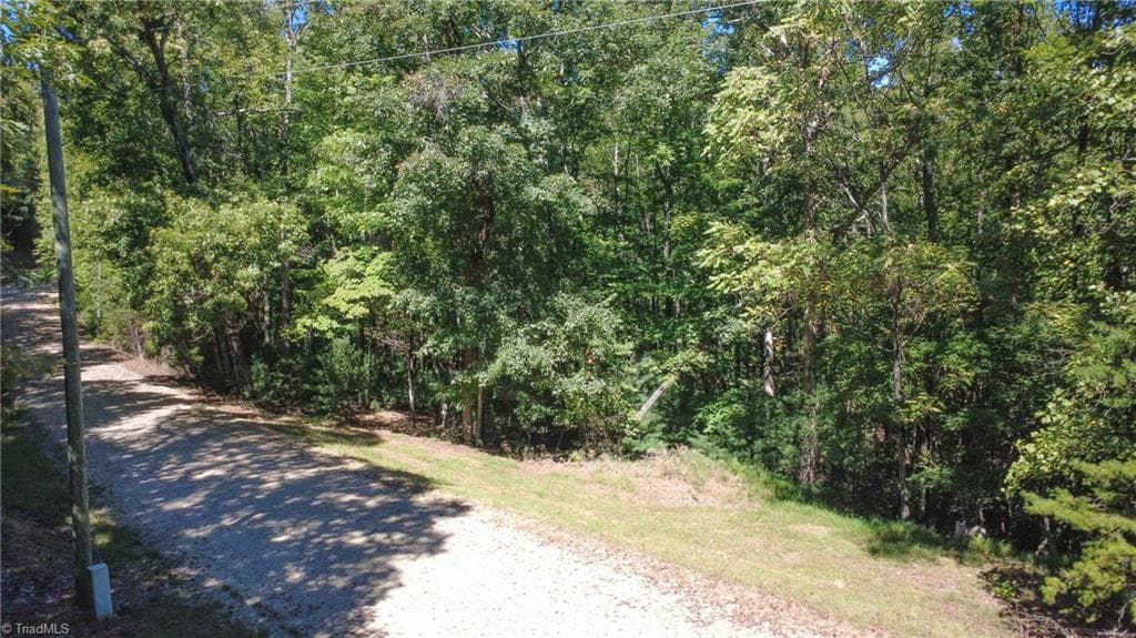 Unimproved Land at 00 Sutters Ridge Road, McGrady NC 28649, McGrady, photo 6 of 16