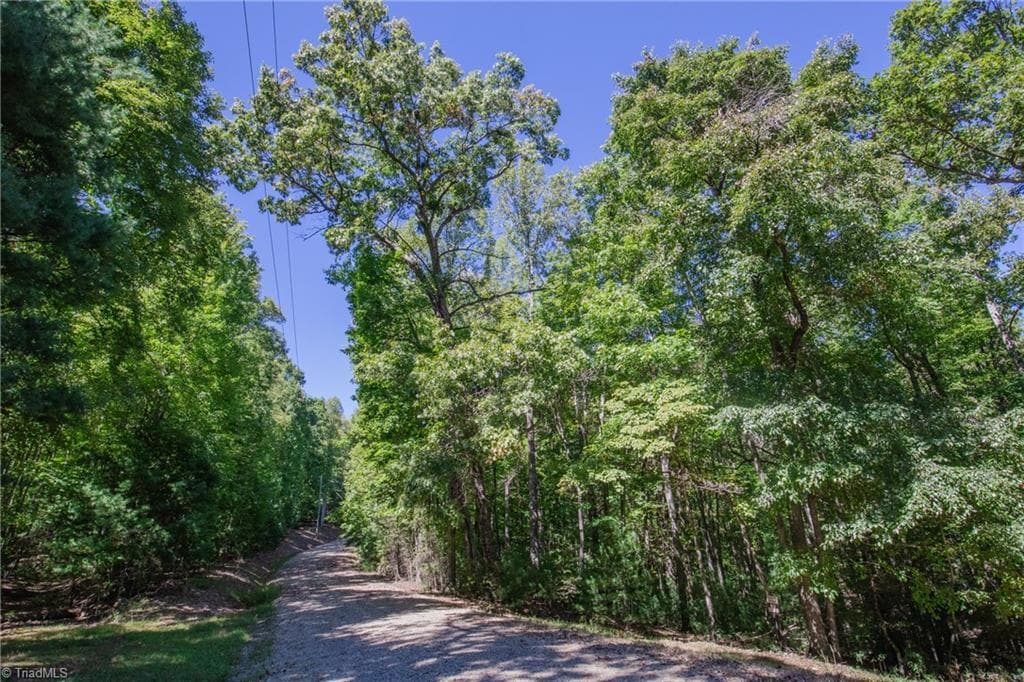 Unimproved Land at 00 Sutters Ridge Road, McGrady NC 28649, McGrady, photo 13 of 16