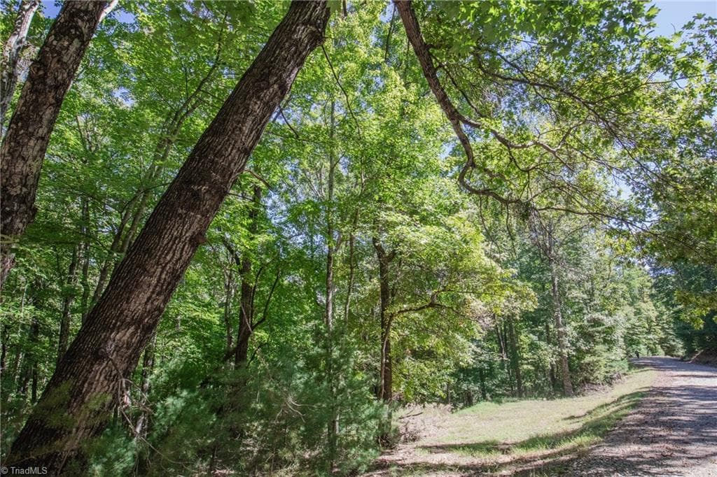 Unimproved Land at 00 Sutters Ridge Road, McGrady NC 28649, McGrady, photo 16 of 16