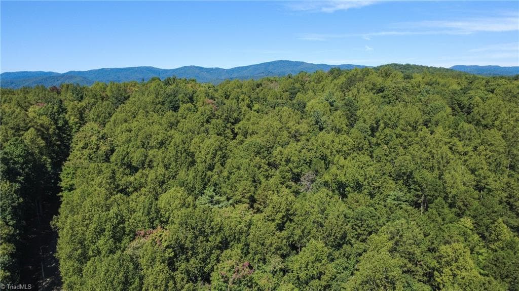 Unimproved Land at 00 Sutters Ridge Road, McGrady NC 28649, McGrady, photo 7 of 16