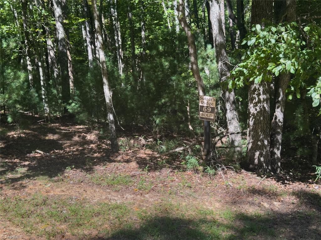 Unimproved Land at 00 Sutters Ridge Road, McGrady NC 28649, McGrady, photo 5 of 16