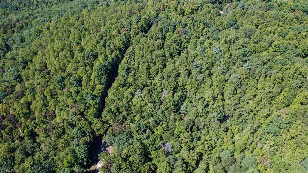 Unimproved Land at 00 Sutters Ridge Road, McGrady NC 28649, McGrady, photo 9 of 16