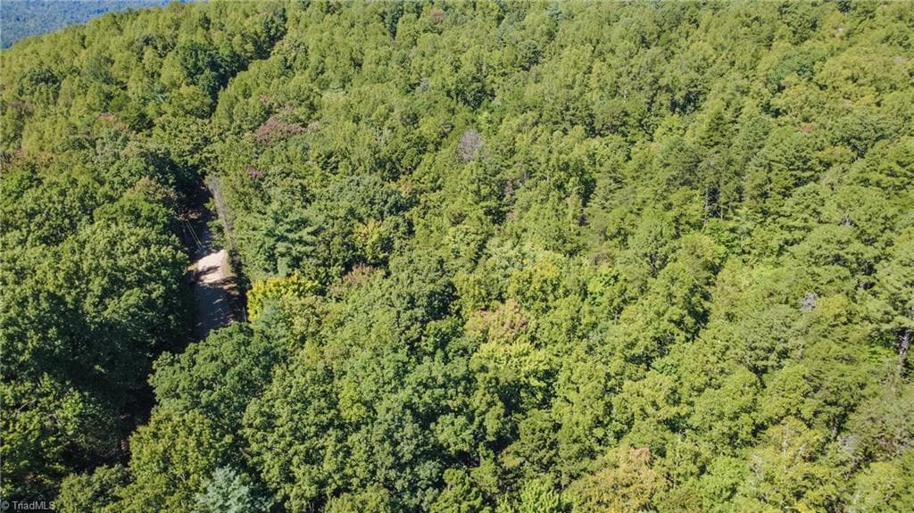 Unimproved Land at 00 Sutters Ridge Road, McGrady NC 28649, McGrady, photo 10 of 16