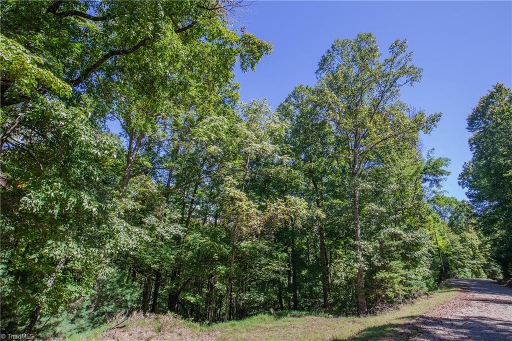 Unimproved Land at 00 Sutters Ridge Road, McGrady NC 28649, McGrady, photo 14 of 16