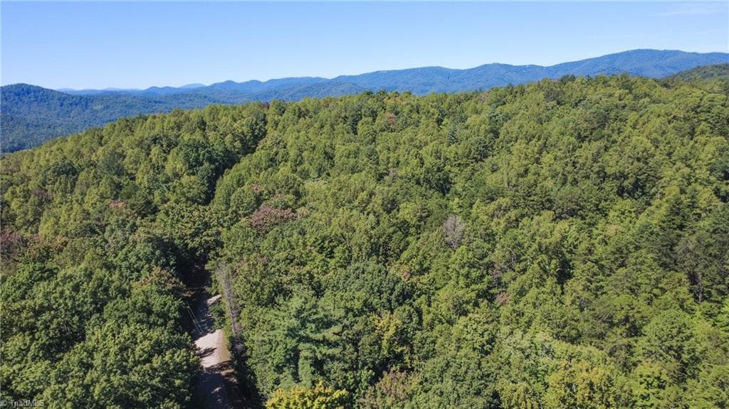 Unimproved Land at 00 Sutters Ridge Road, McGrady NC 28649, McGrady, photo 11 of 16