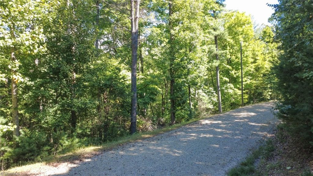 Unimproved Land at 00 Sutters Ridge Road, McGrady NC 28649, McGrady, photo 4 of 16