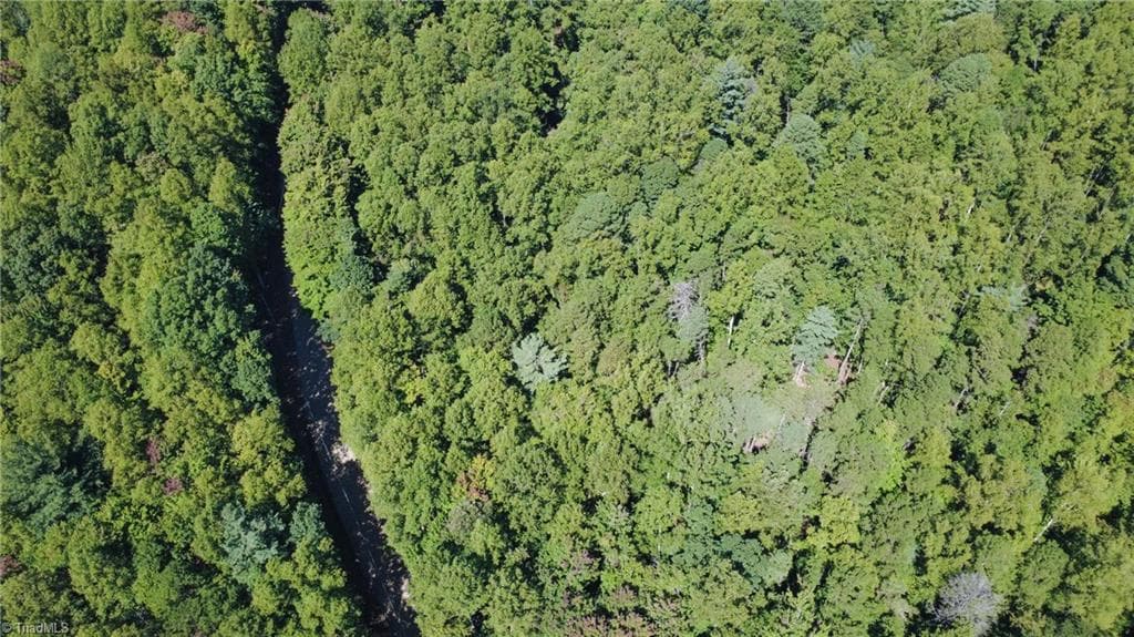Unimproved Land at 00 Sutters Ridge Road, McGrady NC 28649, McGrady, photo 8 of 16