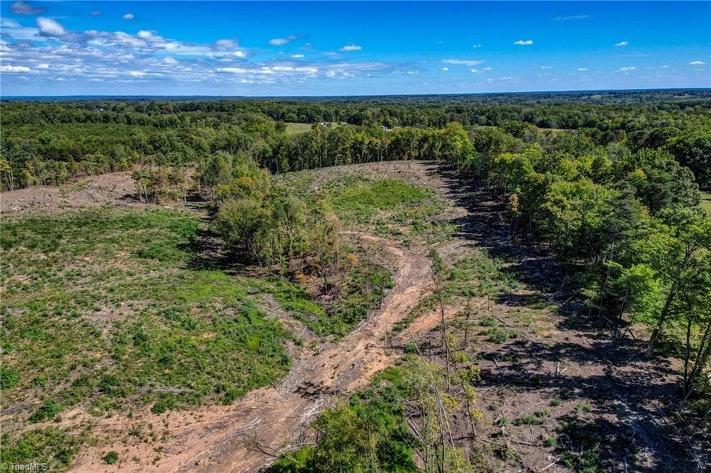 Unimproved Land at 00 Wolf Island Road, Reidsville NC 27320, Reidsville, photo 19 of 26