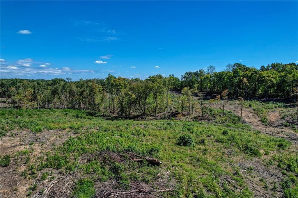 Unimproved Land at 00 Wolf Island Road, Reidsville NC 27320, Reidsville, photo 21 of 26