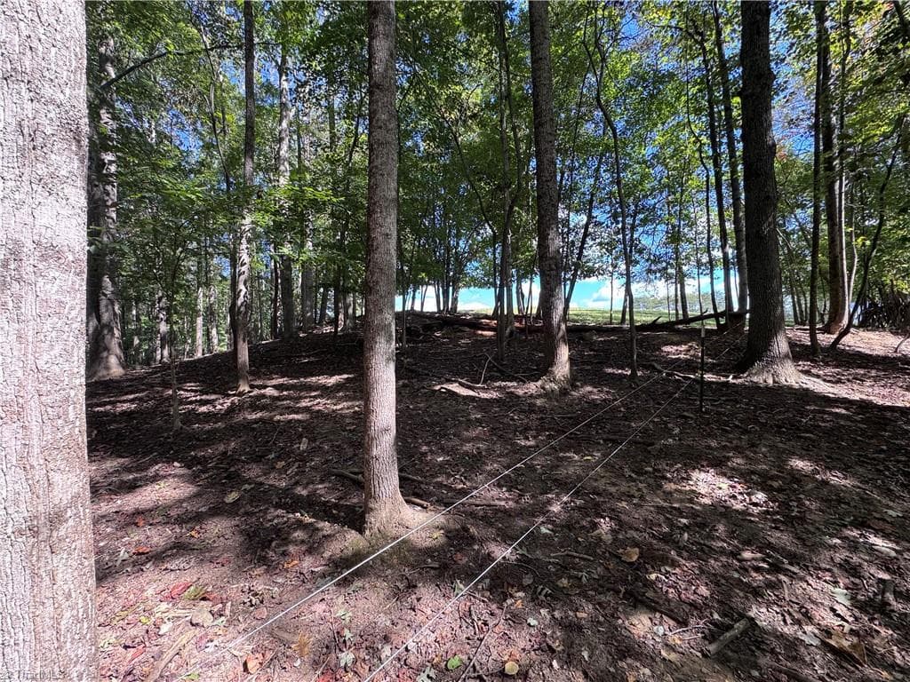 Stick/Site Built at 503 Sam Fulk Road, Pilot Mountain NC 27041, Pilot Mountain, photo 44 of 50