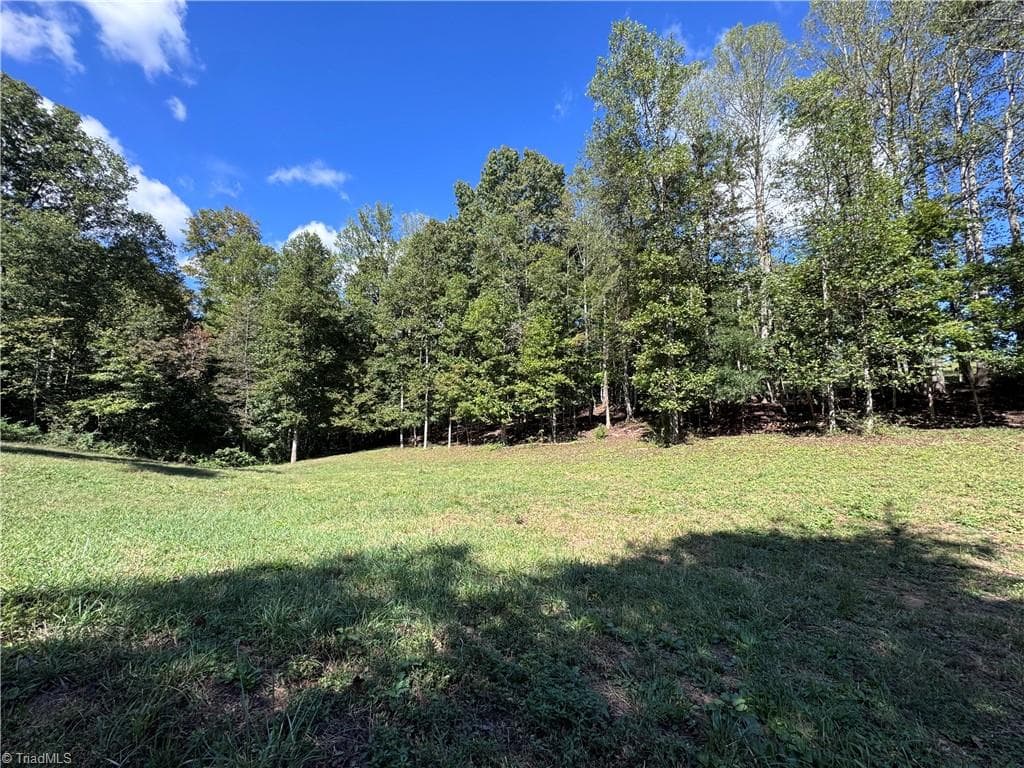 Stick/Site Built at 503 Sam Fulk Road, Pilot Mountain NC 27041, Pilot Mountain, photo 40 of 50