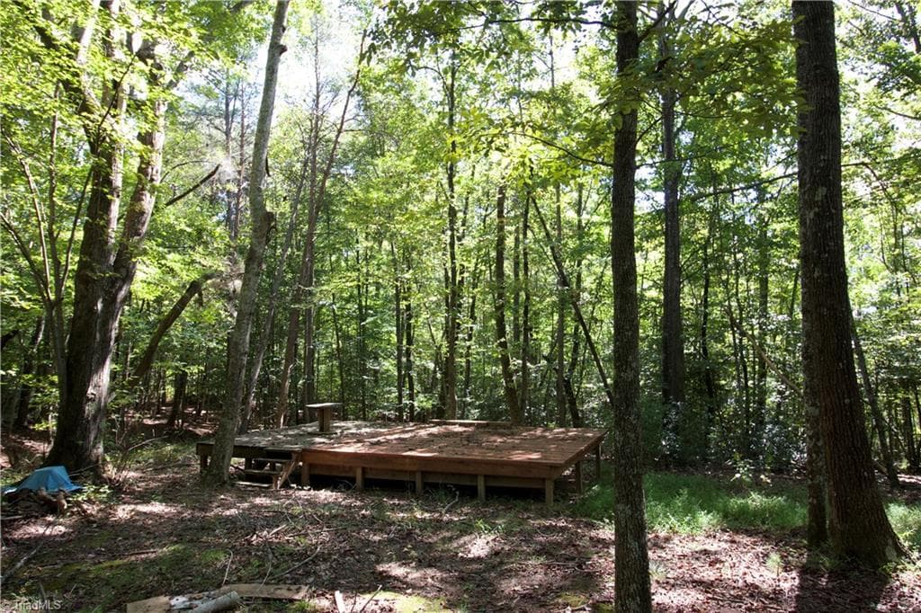 Unimproved Land at TBD Cove Gap Road, Moravian Falls NC 28654, photo 13 of 29