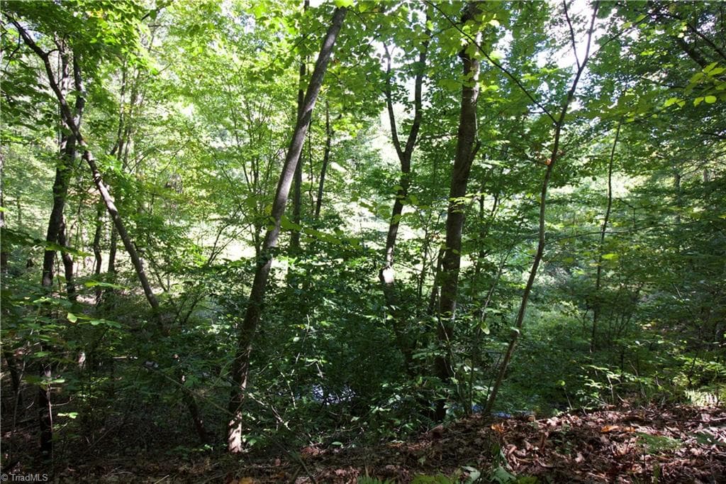 Unimproved Land at TBD Cove Gap Road, Moravian Falls NC 28654, photo 17 of 29