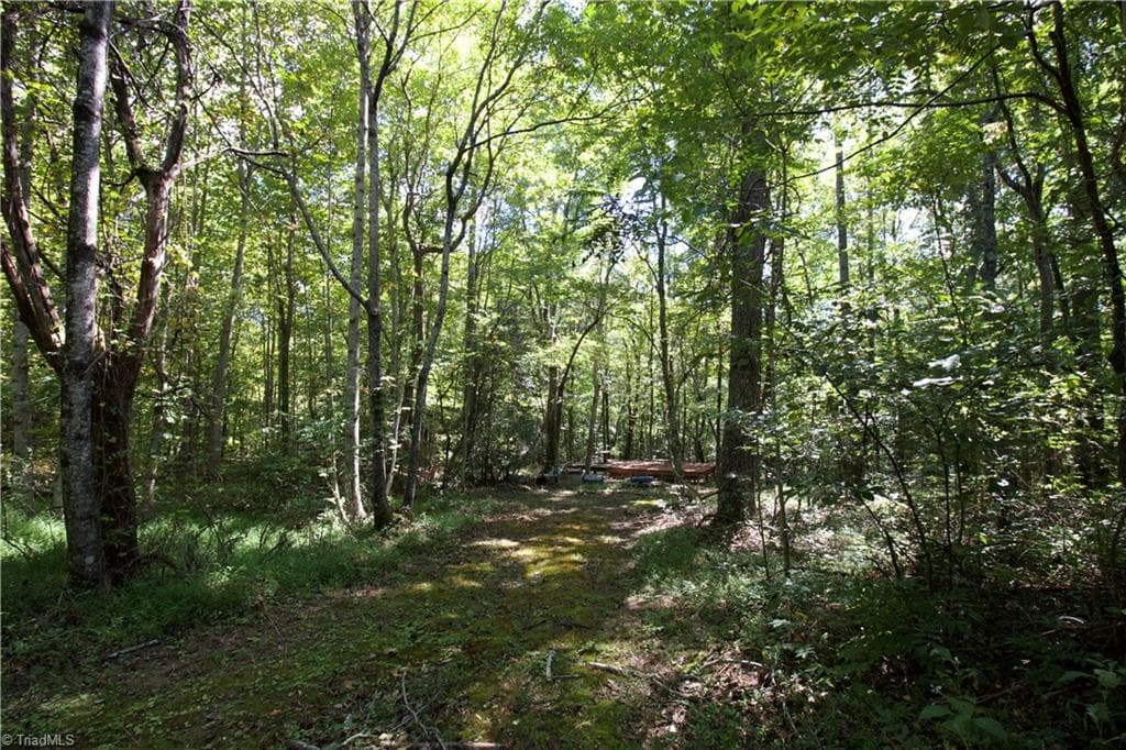 Unimproved Land at TBD Cove Gap Road, Moravian Falls NC 28654, photo 12 of 29