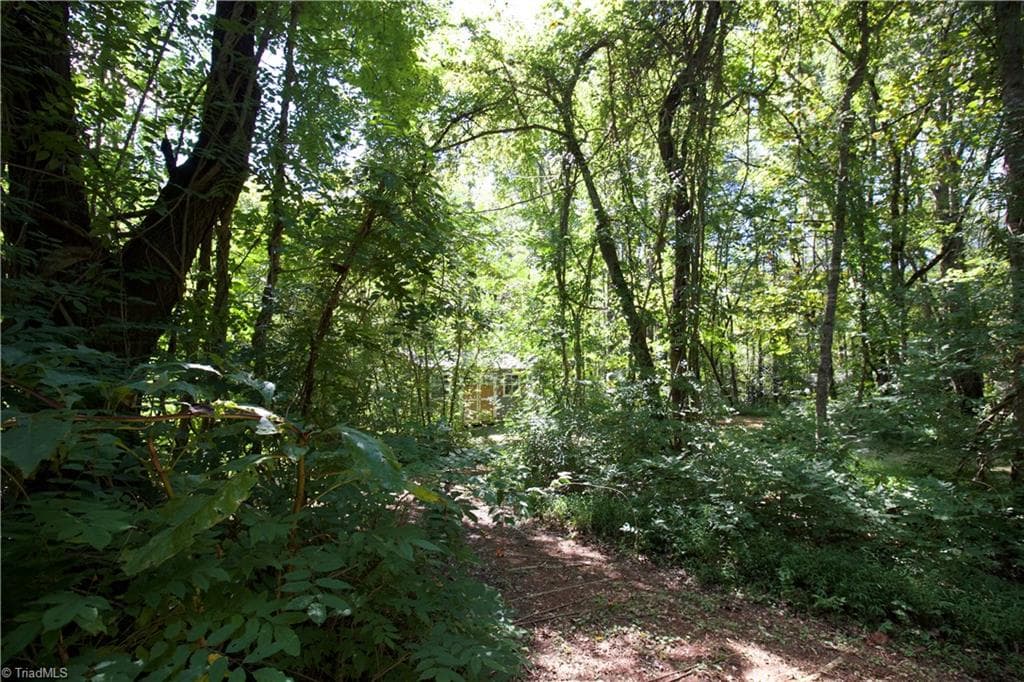 Unimproved Land at TBD Cove Gap Road, Moravian Falls NC 28654, photo 26 of 29