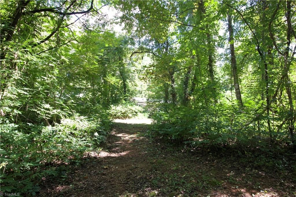 Unimproved Land at TBD Cove Gap Road, Moravian Falls NC 28654, photo 4 of 29