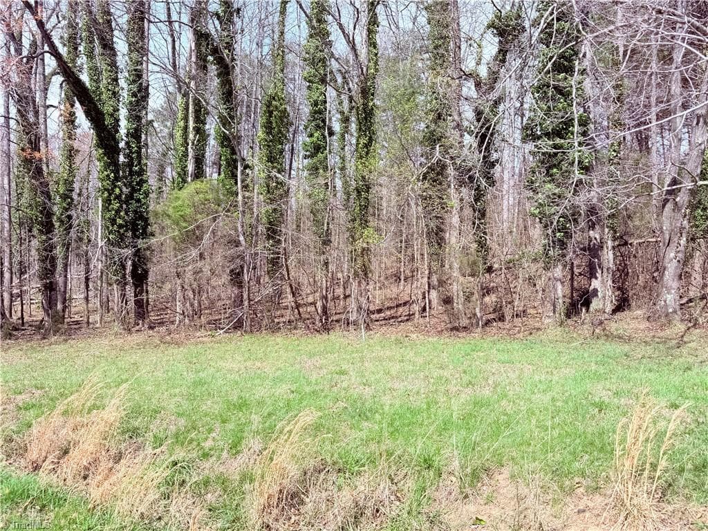 00 Ponderosa Road, Stoneville NC 27048