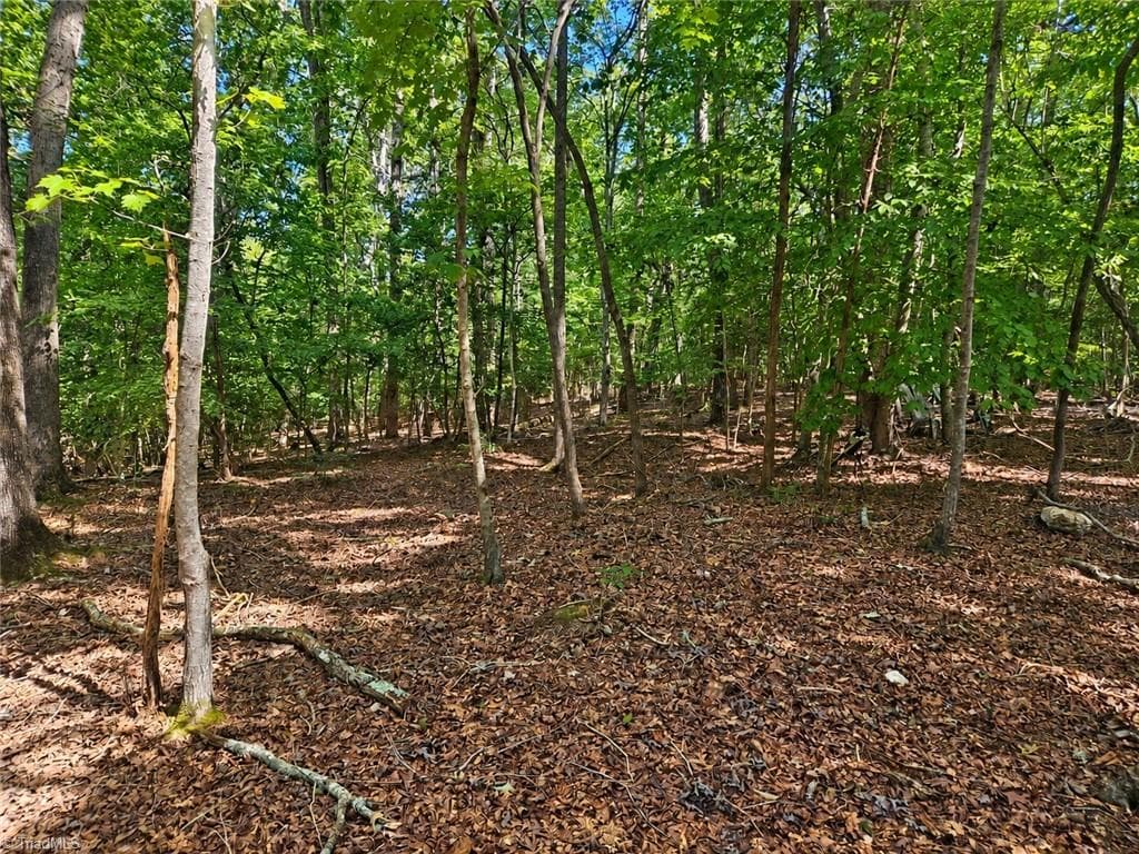 Unimproved Land at 236 Sugar Loaf Road, Troy NC 27371, photo 3 of 24