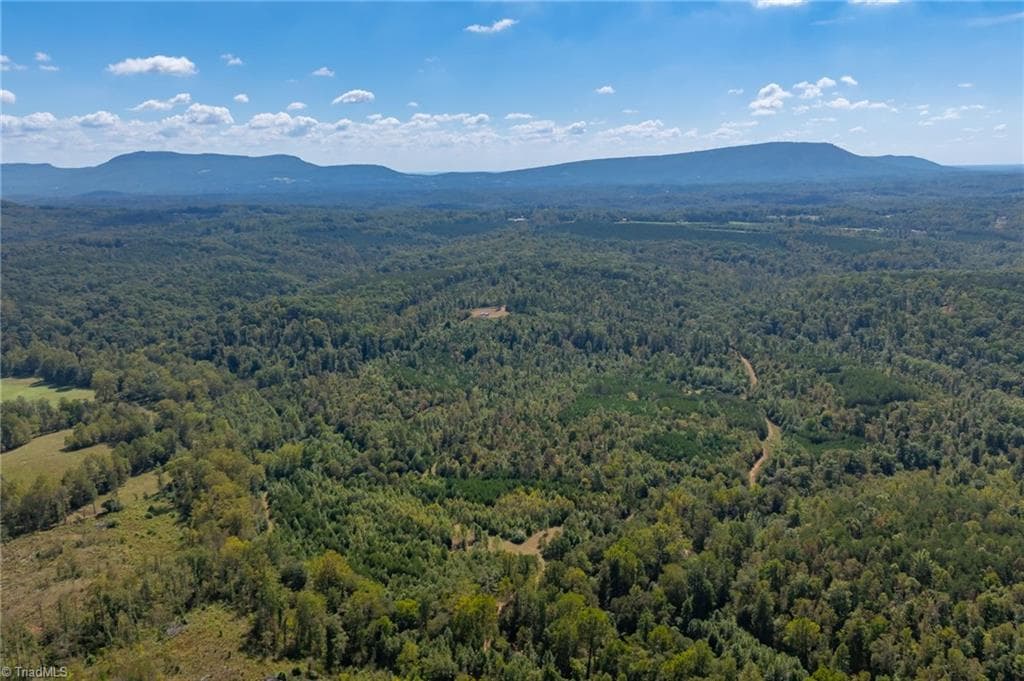 Unimproved Land at 0 Wright Road, Westfield NC 27053, Westfield, photo 5 of 48