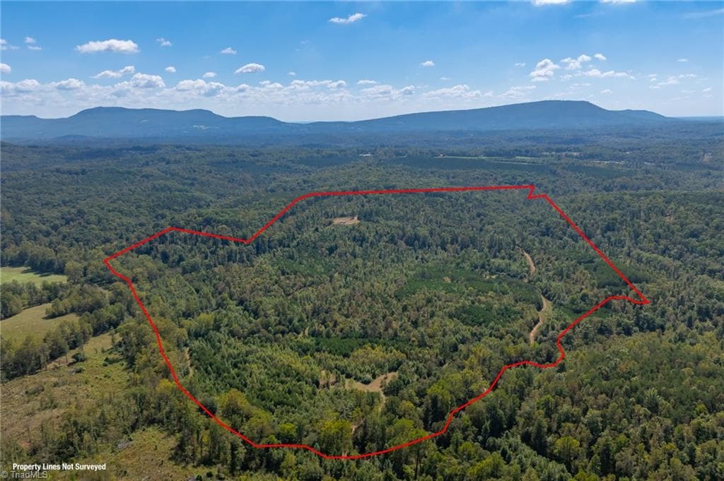 0 Wright Road, Westfield NC 27053