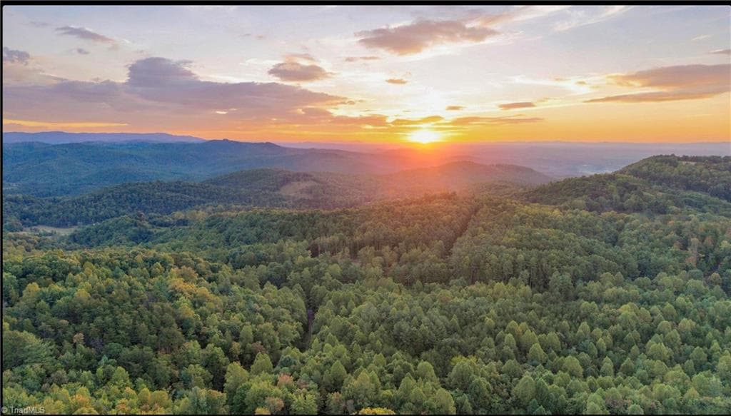0000 Chestnut Grove Road, Millers Creek NC 28651