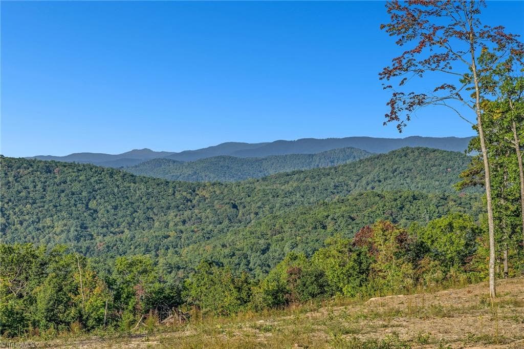 Single Family Residence at Tract 99 Widow Mountain Drive, McGrady NC 28649, photo 22 of 30