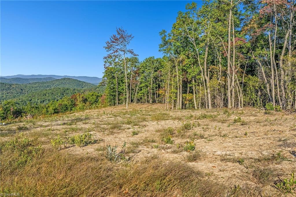 Single Family Residence at Tract 99 Widow Mountain Drive, McGrady NC 28649, photo 15 of 30