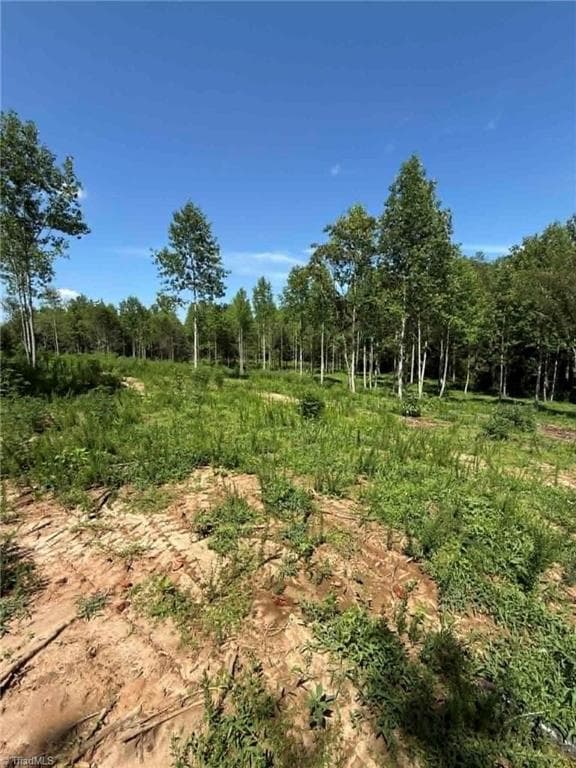 Unimproved Land at 2625 Sprouse Road, Boonville NC 27011, photo 12 of 26