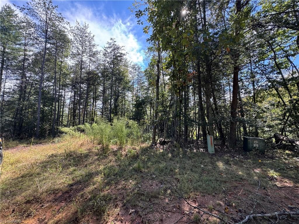 TBD Rainbow Trout Drive, Hays NC 28635