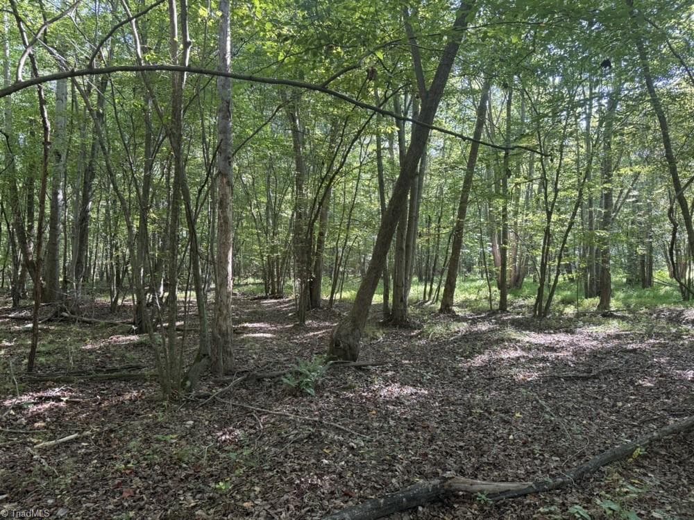 Unimproved Land at 7809 Thomas Road, Stokesdale NC 27357, photo 20 of 30