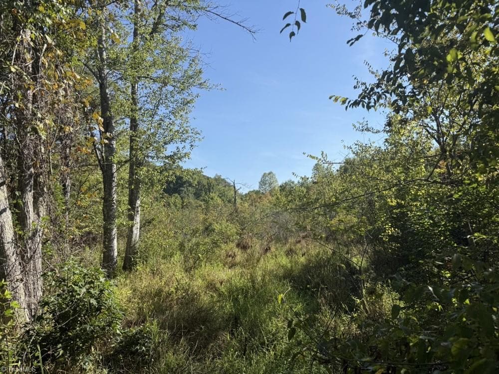 Unimproved Land at 7809 Thomas Road, Stokesdale NC 27357, photo 25 of 30
