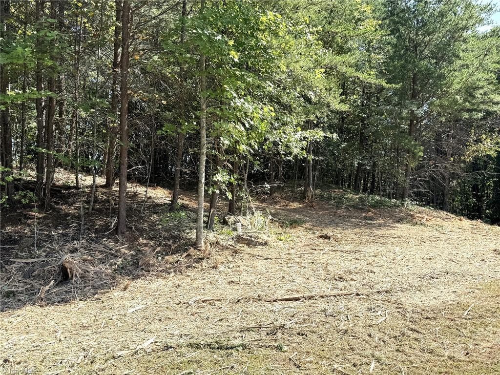 Single Family Residence at TBD Ridge Run Road, Boomer NC 28606, photo 13 of 15