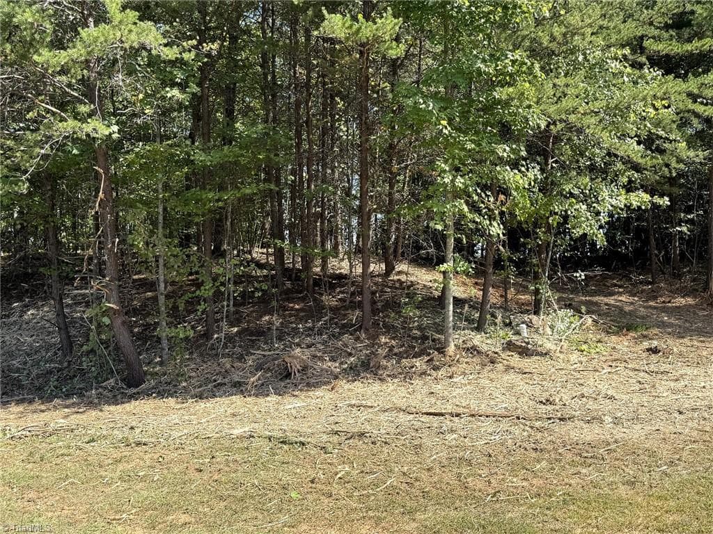 Single Family Residence at TBD Ridge Run Road, Boomer NC 28606, photo 11 of 15