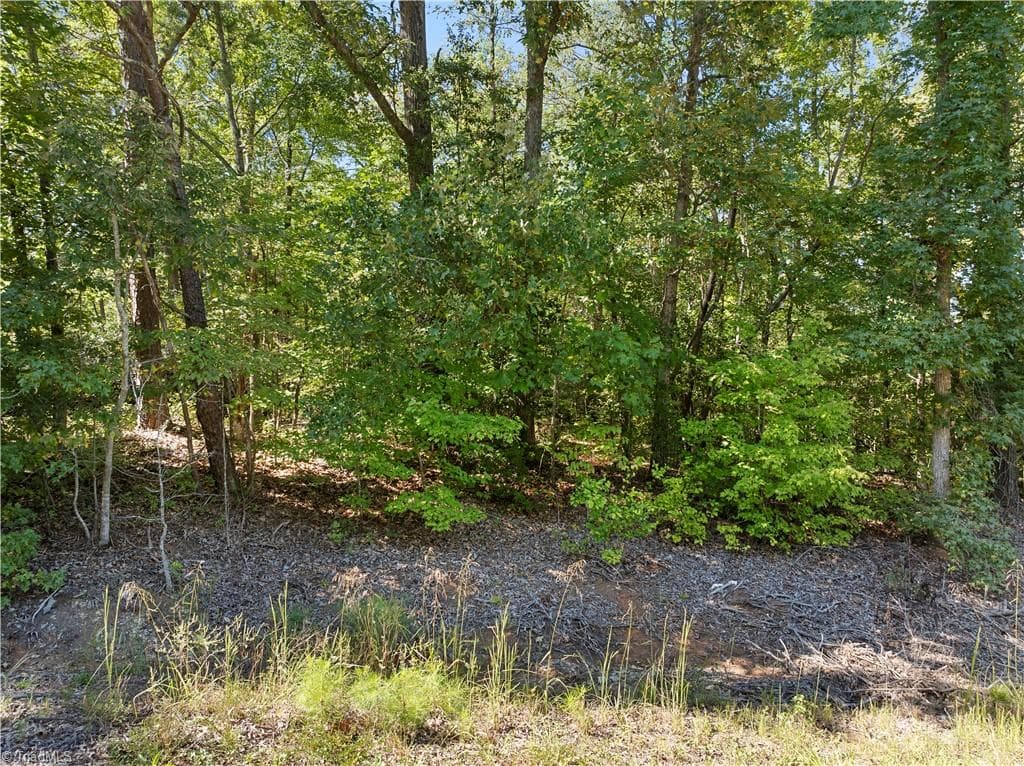 Agriculture at 00 New Hope Road, Denton NC 27239, Denton, photo 15 of 26