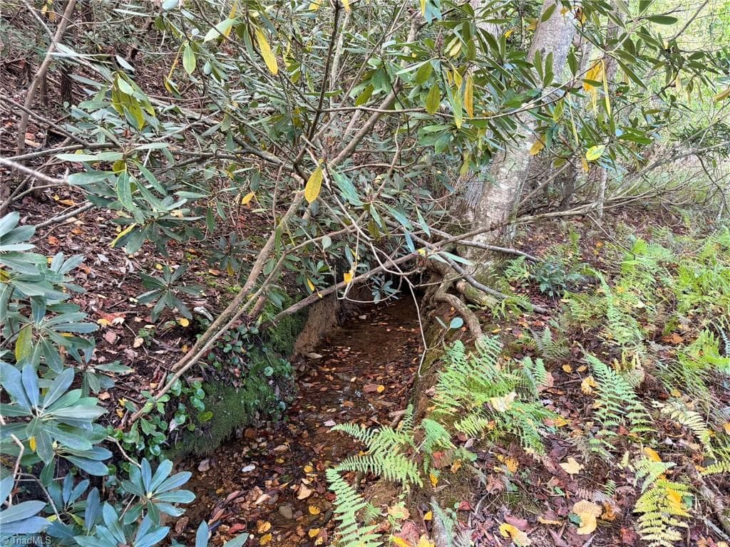 Branch - Lot 60 Jonathan Drive, Lowgap NC 27024, Lowgap