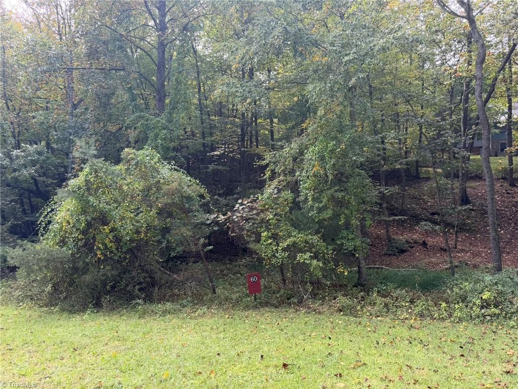 Wooded area - Lot 60 Jonathan Drive, Lowgap NC 27024, Lowgap