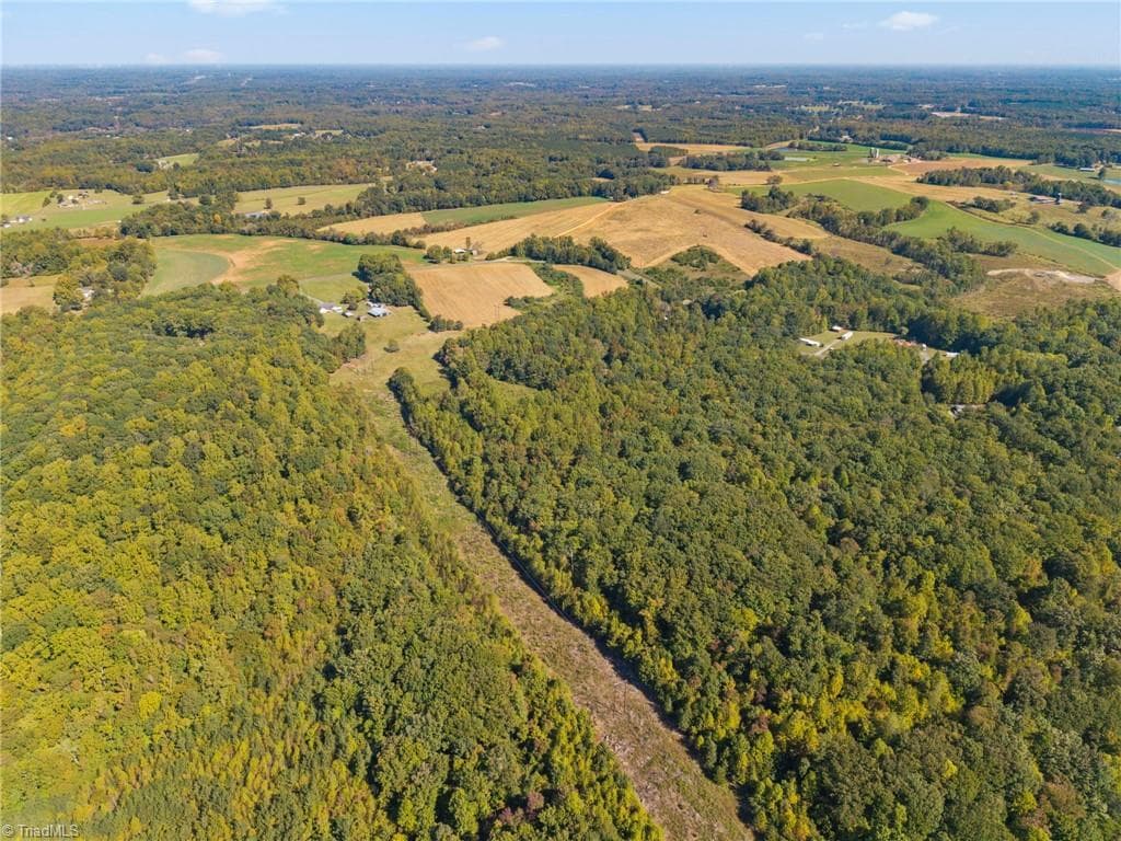 Agriculture at 0 Hawksview Road, Franklinville NC 27248, Franklinville, photo 10 of 10