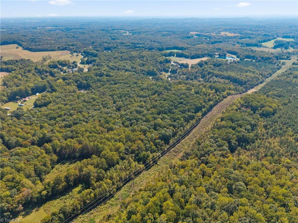 Agriculture at 0 Hawksview Road, Franklinville NC 27248, Franklinville, photo 8 of 10
