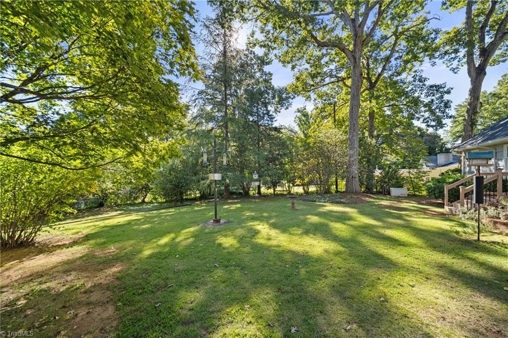 Backyard - 719 Quarterstaff Road, Winston-Salem NC 27104, Winston-Salem
