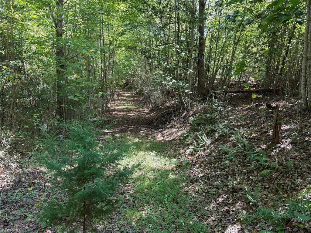 Unimproved Land at 000 Friendly Grove Church Road, Millers Creek NC 28651, Millers Creek, photo 33 of 84