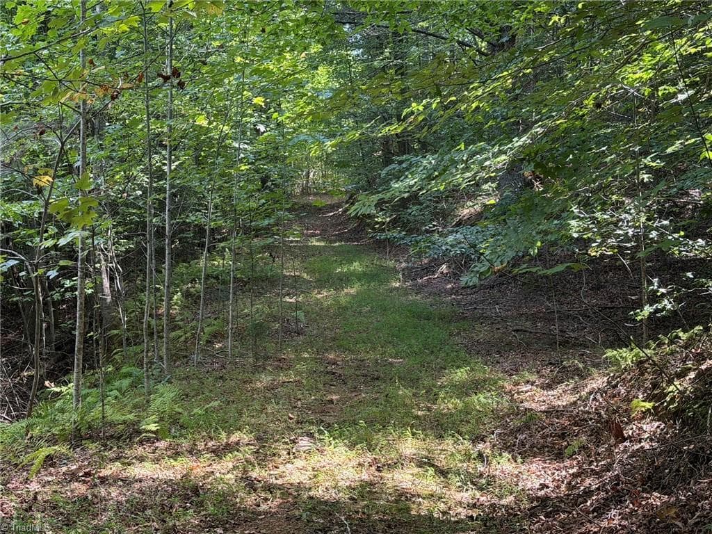 Unimproved Land at 000 Friendly Grove Church Road, Millers Creek NC 28651, Millers Creek, photo 23 of 84