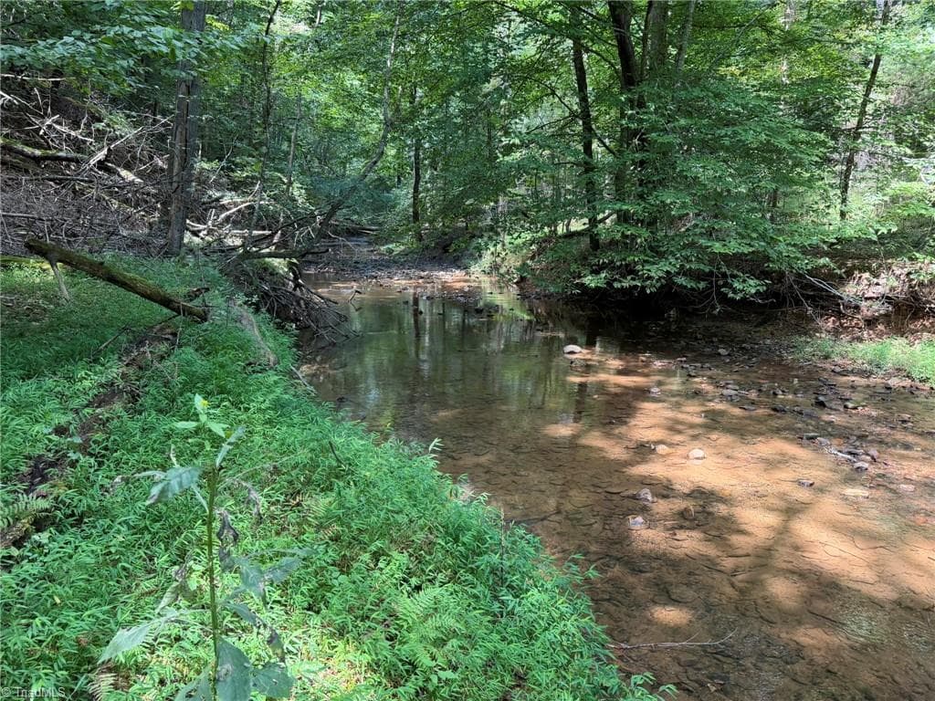 Unimproved Land at 000 Friendly Grove Church Road, Millers Creek NC 28651, Millers Creek, photo 71 of 84