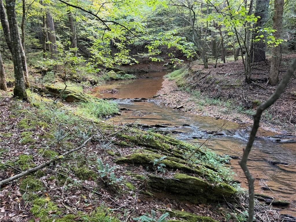 Unimproved Land at 000 Friendly Grove Church Road, Millers Creek NC 28651, Millers Creek, photo 55 of 84