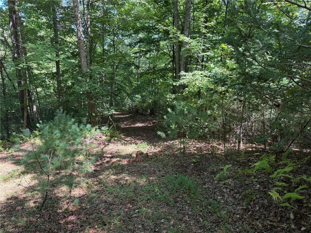 Unimproved Land at 000 Friendly Grove Church Road, Millers Creek NC 28651, Millers Creek, photo 39 of 84