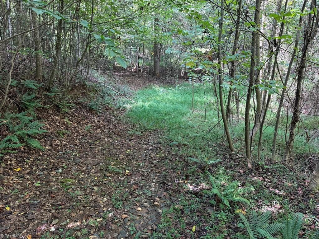 Unimproved Land at 000 Friendly Grove Church Road, Millers Creek NC 28651, Millers Creek, photo 17 of 84